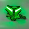 LED USB Charging Reflective Dogs Harness - Pet Safety Vest - Image 4