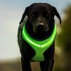 LED USB Charging Reflective Dogs Harness - Pet Safety Vest - Image 3