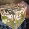 Rubik's Cube Tulip Small Night Lamp Creative DIY - Image 3